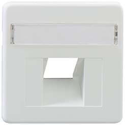 Rutenbeck 13510052 – 1 Output Central plate for Base UAE 5E/6 White Polar