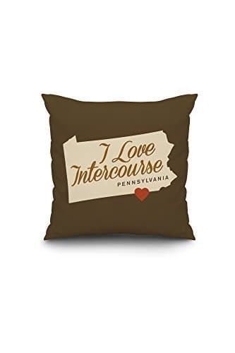 I Heart Intercourse, Pennsylvania - Sentiment - Brown (18x18 Spun Polyester Pillow Case, Black Border)