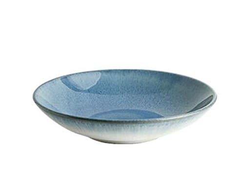 LFHCW ZHDC® Ceramic Bowls, Creativity Tableware Shallow Mouth Soup Bowl Bowl Fruit Bowl Big Bowl Household Dish Plate Western Food Bowl Salad Bowl 24.5x5cm Japanese style Ceramic bowl