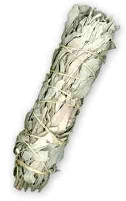 White Sage Smudge Stick - 9 by Crystal poppy