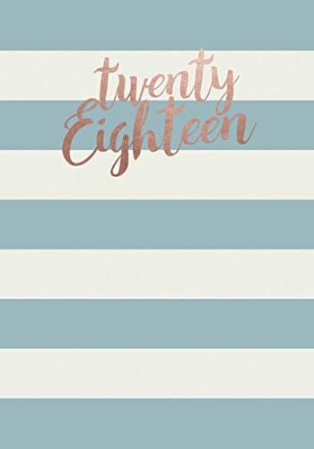 Fashion Diary Twenty Eighteen Strpe 2018 (Diary A6)