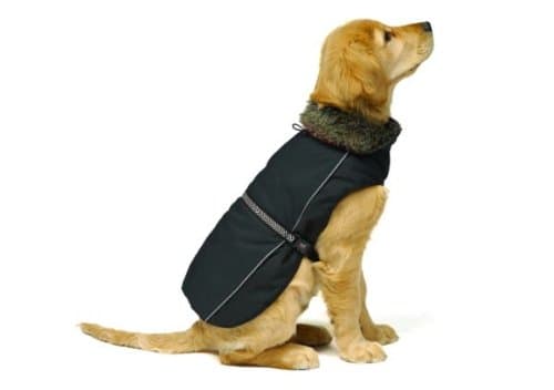 DOG GONE SMART Aspen Parka Coat (12")