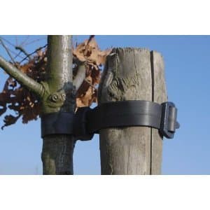 Garden Tree Buckle Ties - 45cm - Pack of 50 (a320)