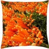 Pyrostegia venusta - Throw Pillow Cover Case (18