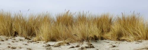 Wall Decoration by krukemeyer, Tifa 176 x 60 cm CANVAS Structure with Label exclusiven Photographs in Maestro Hand, Fine Art directly on the wall gebracht