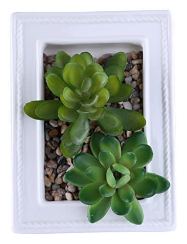 Greencherry(TM) White Ceramic Modern Photo Frame Design Rectangle succulent Plant Pot/Cactus Plant Pot Flower Pot/Container/Planter , 6.1 Inch