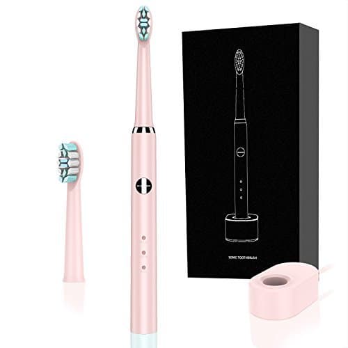 SHAOJIER Electronic Power Rechargeable Electronic Toothbrush 3 Optional Modes Waterproof Fully Washable 2 Replacement Heads(Pink)
