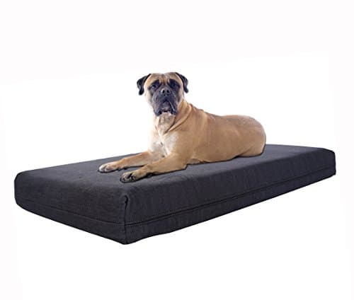 Pet Support Systems 4 LB Memory Foam Orthopedic Dog Bed - Best Luxury Large Breed, Washable 40" X 35" X 4" (X-Large) Blue