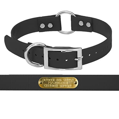 1 Wide Solid Ring in Center Dog Collar Strap with Custom Brass Name Plate (Black) by Outdoor Dog Supply