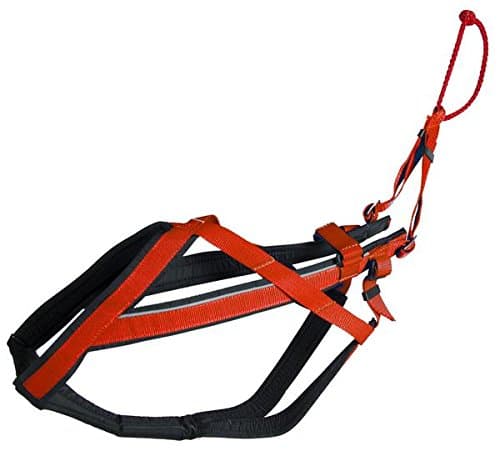 neewa 8033087538427 – Racing Harness Red Large