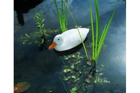 Altadex m231433 – Duck Decorative White 43 cm