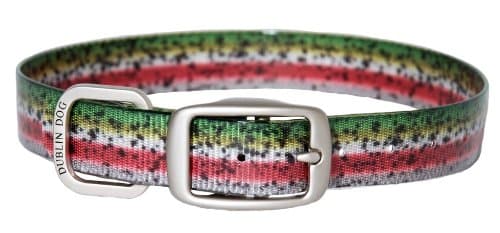 Koa Collar Trout Collar, Medium, Rainbow