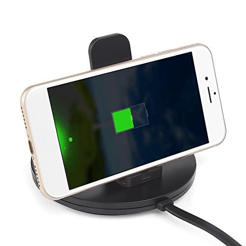 iPhone Charging Dock Station, LANVY Desktop Charger Stand Holder with USB Cable Docking Station for iPhone X 8 7 6S 6 Plus SE 5S 5C 5 / iPad Mini/ Air/ Pro/ iPod Series - Black