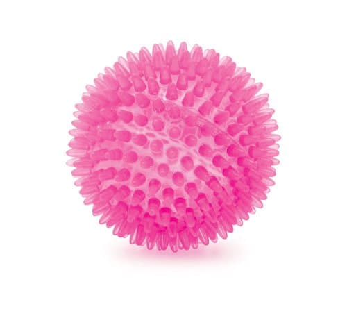 Small Bite Spikey Ball Dog Toy