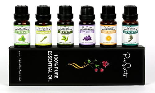 Best Essential Oils Gift Set by PureScents, 100% Pure, Six 10ml (0.34 fl oz) Aromatherapy Oils. Perfect to kill Germs, Bad Smells and a Bad Mood, great for a Relaxing and Rejuvenating Experience!