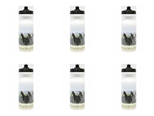 6 x Horses Design Bottles - 500ml - Water - Drinks Bottles