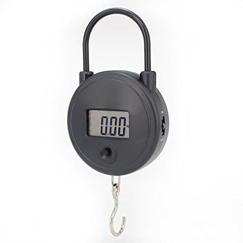 Electronic Fishing Scale Portable Digital Scale Hanging Hook Max 30kg Kgs and Lbs
