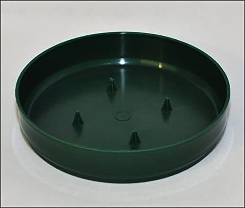 Olympia 11 Bowl Diameter 20 Cm Green
