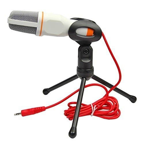 TEMO Professional Stereoscopic Condenser Sound Microphone With Stand for PC Laptop Skype MSN QQ Recording Black (White)