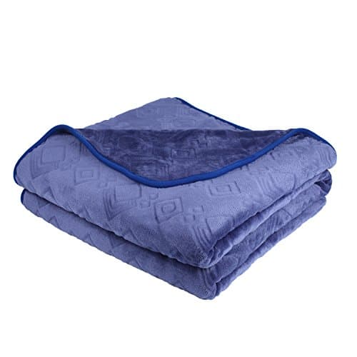 Herenear 100% Reversible Soft Microfiber Throw Blanket, Washable Extreme Weather Warm Outdoor Stadium Lightweight Blanket, Great for Camping, Picnics, Hiking, Survival &amp; Emergency Preparedness Use (Blue)