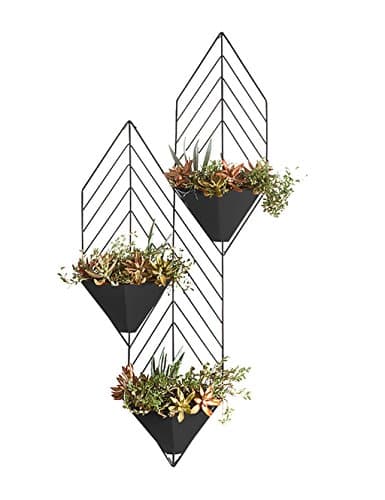 flower pot shelf Creative European Style Iron Wall-mounted Three Layers Spider Plants Flower Rack Living Room Multilayer Indoor On The Wall Flower Rack plant stand ( Color : A )