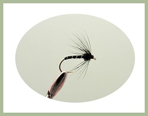 Spider Wet Trout fly, 6 Pack Black Magic Variant, Choice of Sizes, Fly Fishing