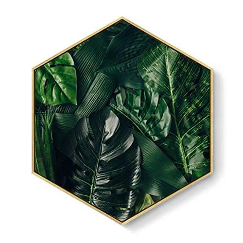 MINRAN DECOR - Canvas Art Print Framed Multi-hexagon plant leaves Painting Modern Canvas Prints Artwork Pictures Paintings on Stretched and Framed Canvas Wall Art - ZSH108 , 11 , 40*46cm