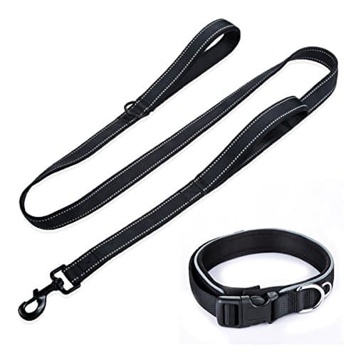 Splink Dog Lead and collar set Reflective Ajustable Nylon Pet Collar with 2 D-Ring And 3M Reflective Double Handle Dog Walking Leash for Medium and Large Dogs(Neck 43-60CM)