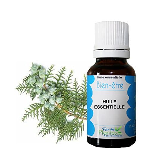 Essential Oil of Cypres