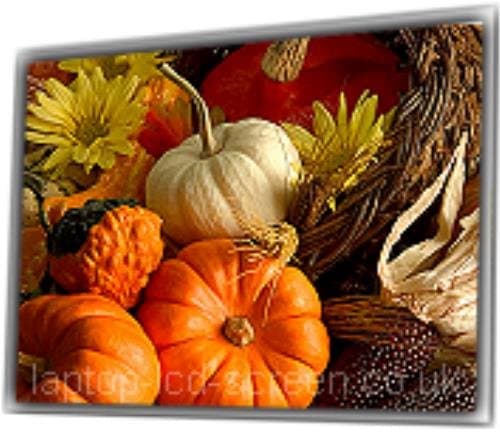 Acer Aspire 4520 5668 14.1 replacement laptop LCD screen