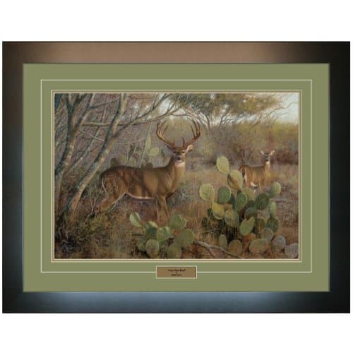 Reflective Art - "Lone Star Buck" Framed Art