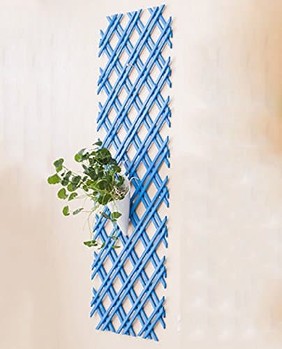 CAIJUN Wall Hanging Flower Rack Double Net Flower Pot Rack Climbing Rattan White Solid Wood Fence Grid Display Stand, 115 * 46cm, 4 Kinds Of Colors organizer ( Color : Blue )