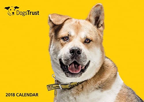 Dogs Trust A4 Calendar 2018
