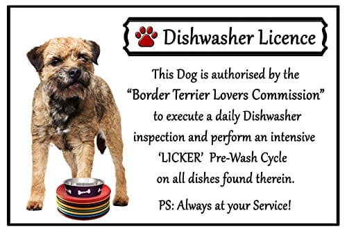 Border Terrier Lover Gift - Fun Dishwasher Licence Flexible 6" x 4" Magnet