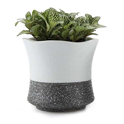 T4U 9.5CM Ceramic Korae Style Snow Serial No.5 Succulent Plant Pot Cactus Plant Pot Flower Pot Container Planter