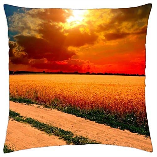 PATH WAY to COLORFUL HORIZON - Throw Pillow Cover Case (16" x 16")