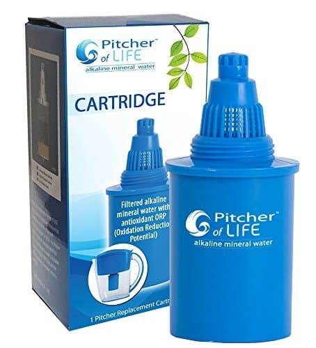 Pitcher of Life Alkaline Water Pitcher (2nd Generation) Replacement Filter by Life Ionizer