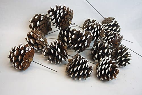 15 Natural Pine Cones on Wire (White Tipped)