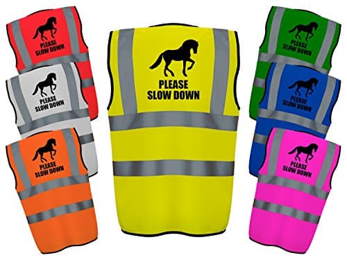 Please Slow Down (Pink, Large) Hi Vis Vest Reflective Safety High Viz Equine Safe Waistcoat safer for Horse and Rider Equestrian