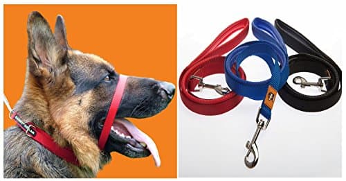 Canny Collar Red with matching 15mm standard lead (6)