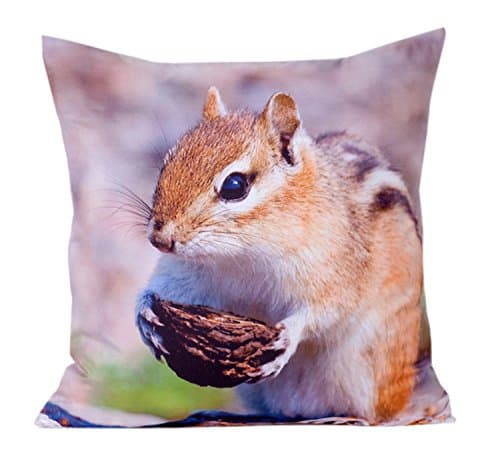 Squirrel and Nut 3D High Resolution Images Photo Printed High Quality Double Sided Cushion Cover 45cm x 45cm / 18 x 18 inch CC55 (Pattern07)