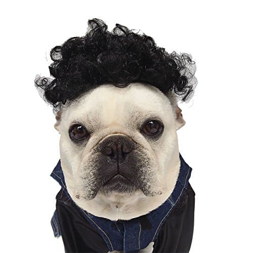 InnoWill Dog Costume Adjustable Black Cirl Wig for Small Medium and Large Dogs Halloween Cosplay Party Photo Shoots