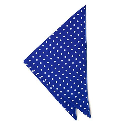 Silk Pocket Square - 100% Silk (Blue &amp; White Polka Dots) 