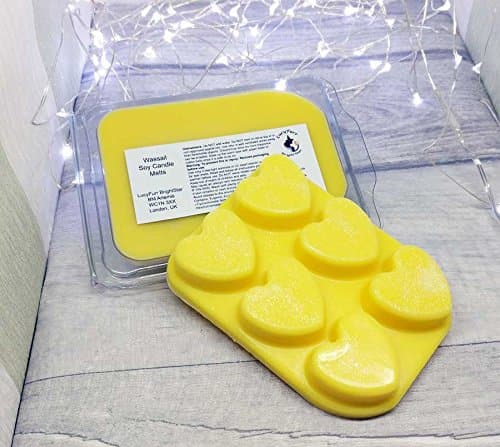 Wassail/ Mulled Cider Handmade Soy Wax Candle Melts Clamshell