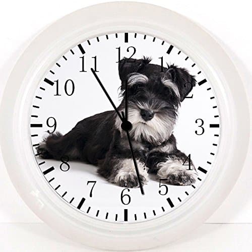 Miniature Schnauzer Wall Clock 10" Nice Gift and Room Wall Decor E243