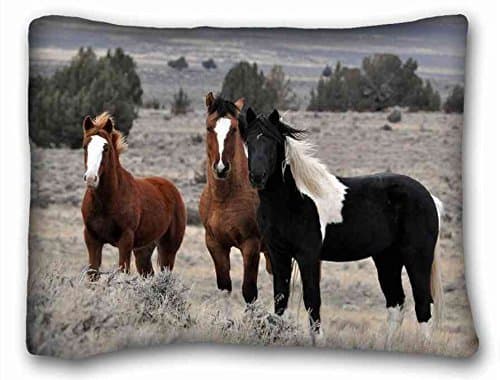 Custom Cotton &amp; Polyester Soft Animal Pillowcase Standard Size 20"X26" Design Pillow Case Cover suitable for Twin-bed