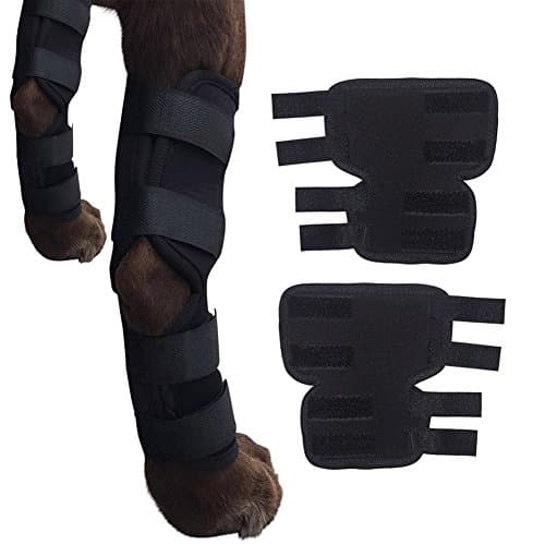 Dog Leg Support Brace Canine Rear Hock Joint Brace, Compression Wrap Protect Wounds/ Heal Injuries and Sprains Help Loss of Stability caused by Arthritis(1 Pair) (M)