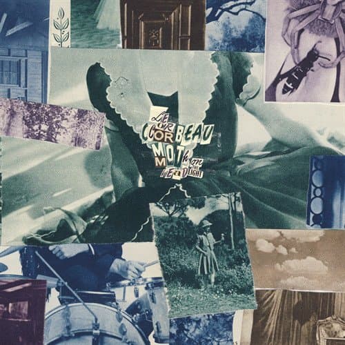 Moth On The Headlight [VINYL]