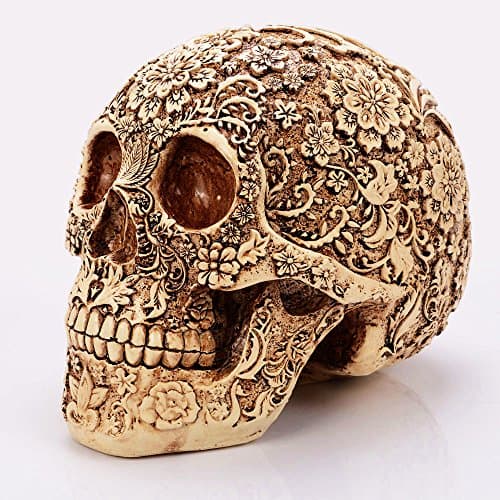 Skull Head,Creative Human Skull Head Bone Mode.