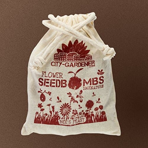City Gardeners Seed Bombs "Bees Feast" - 10 walnut-sized seedbombs